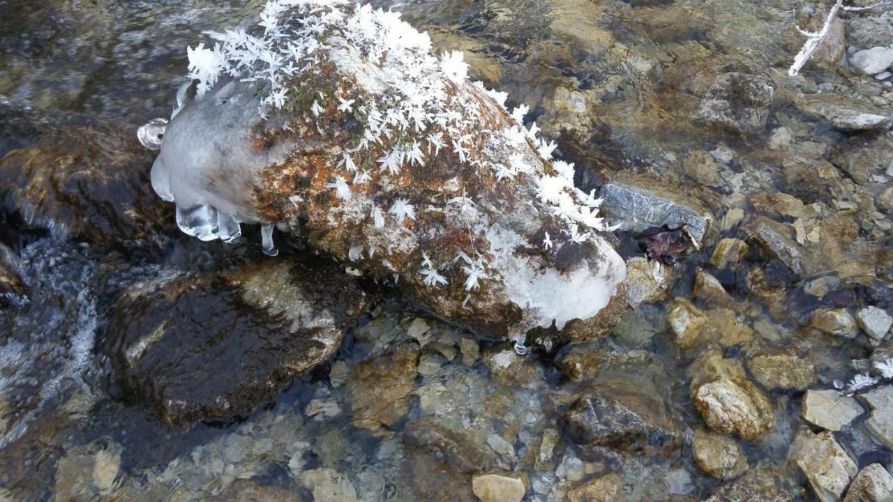 Ferienhof Schelchen Hollenstein an der Ybbs Eksteriør bilde